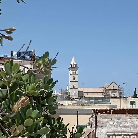 La Luna Sul Tetto *